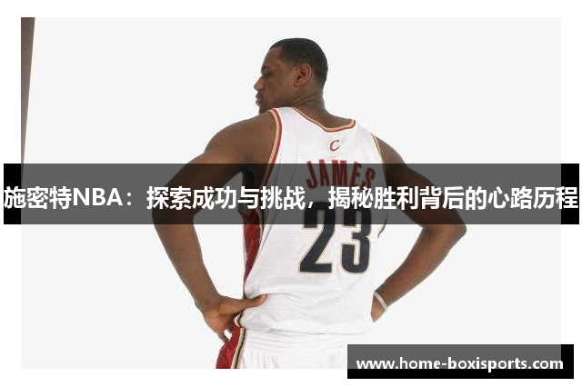 施密特NBA：探索成功与挑战，揭秘胜利背后的心路历程